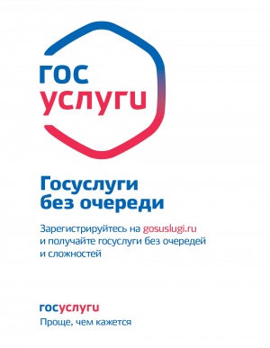 Открытие в МДОУ д/с № 48 Центра обслуживания портала «Госуслуги.ру» Открытие в МДОУ д/с № 48 Центра обслуживания портала «Госуслуги.ру»
